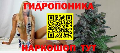 твердый Коммунар