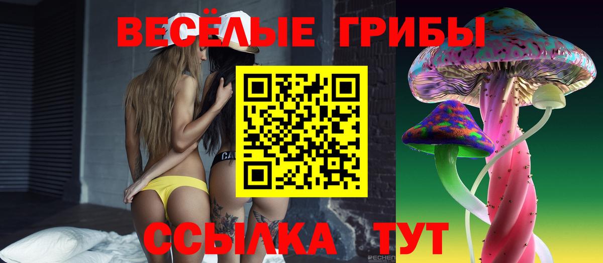 Галлюциногенные грибы MAGIC MUSHROOMS Кольчугино