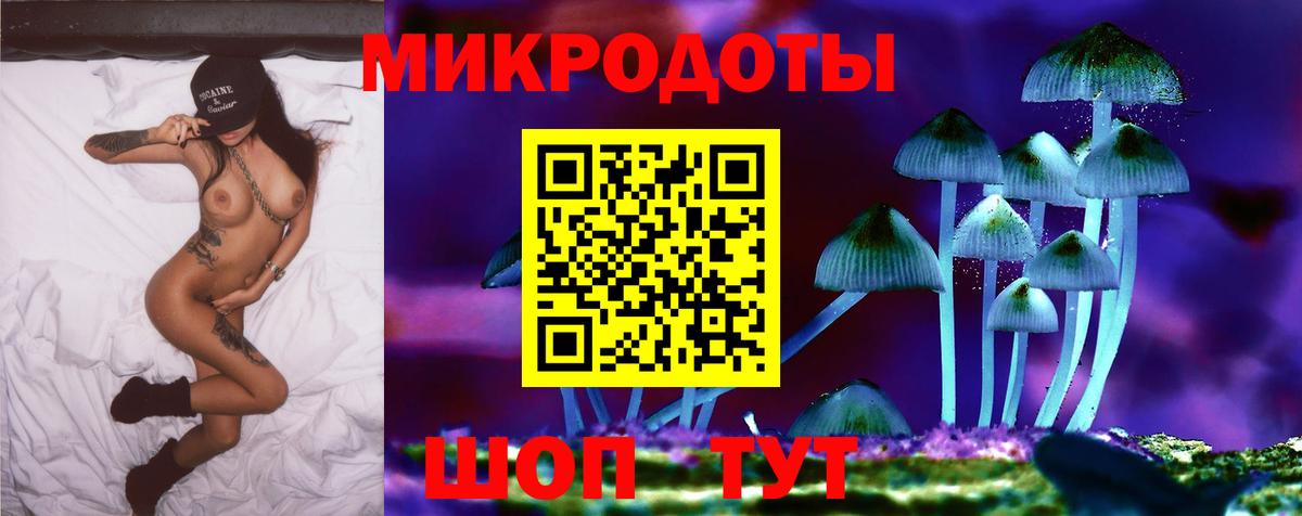 Галлюциногенные грибы Psilocybe  Вход с VPN  где купить наркоту  Кольчугино 